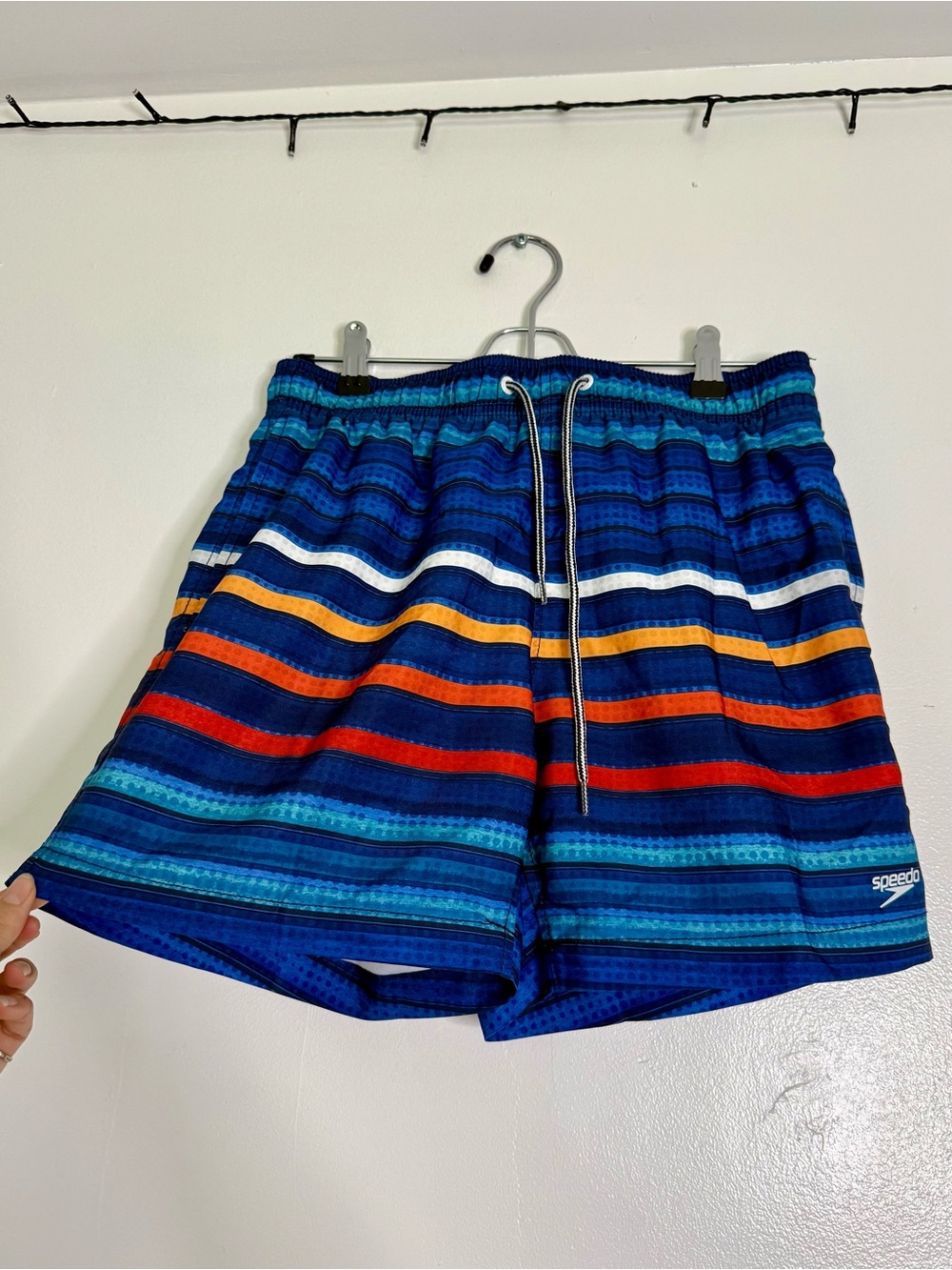 Speedo Men’s Navy Blue Multi-Stripe Swim Shorts
